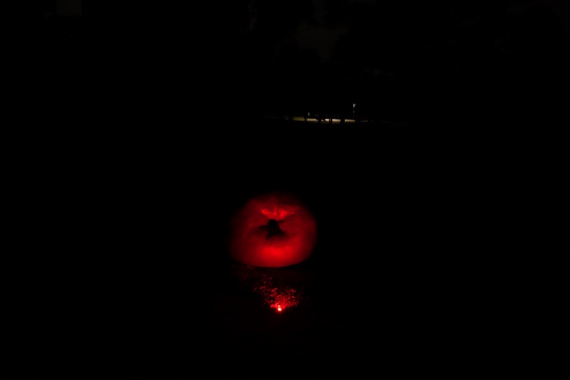 Wuben G5 Red 0.3 metres beamshot