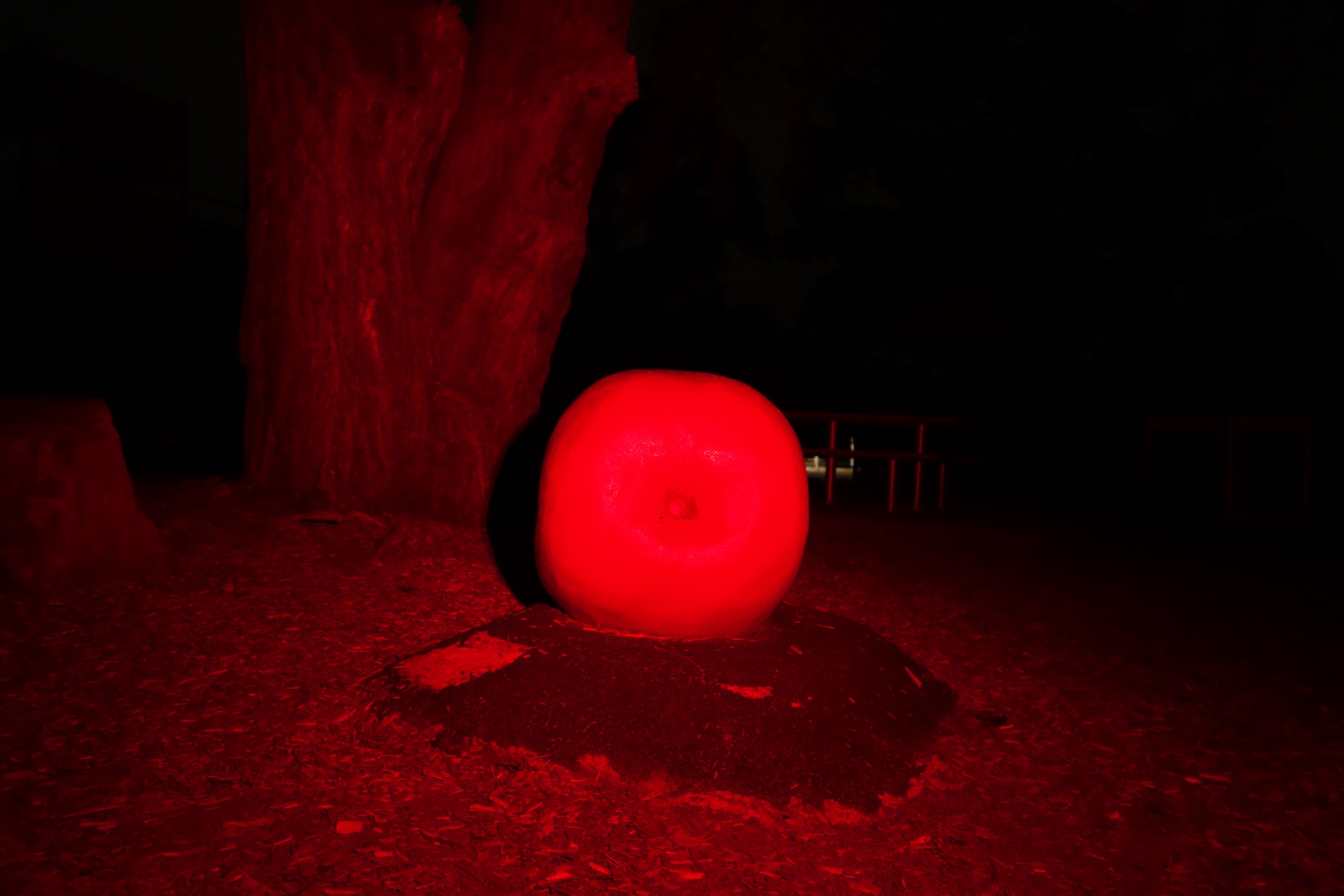 NEXTORCH eStar Red 100% beamshot