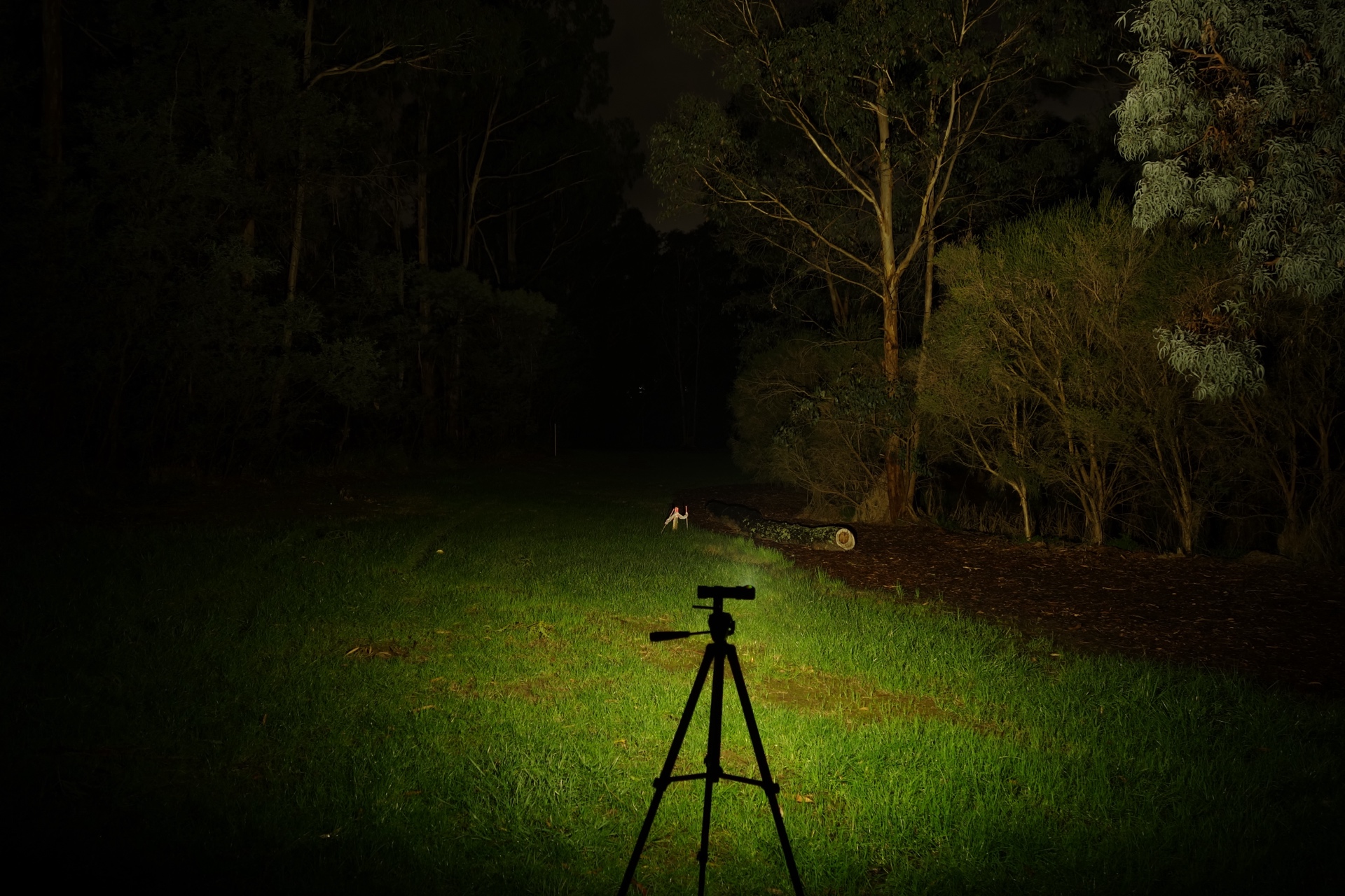 Armytek Elf C2 Max WR Warm Turbo beamshot