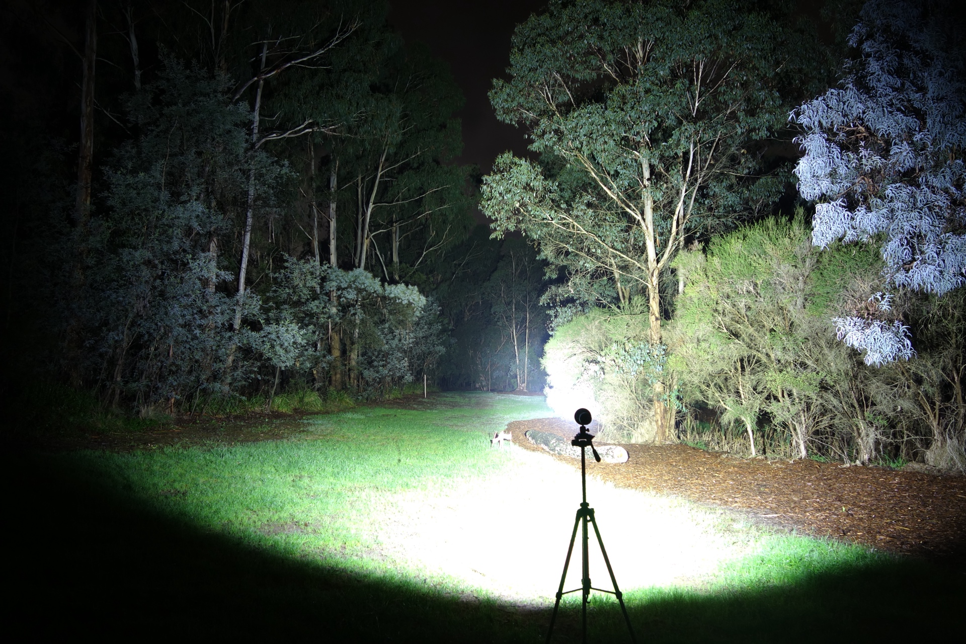 Fenix LR50R V2 Both High beamshot