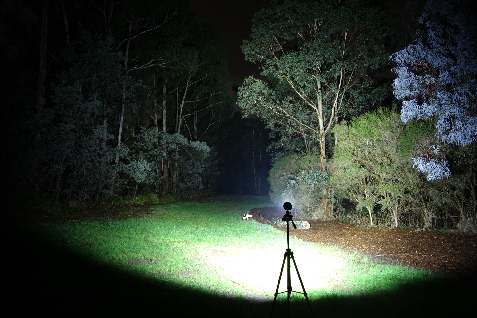 Fenix LR50R V2 Floodlight High beamshot