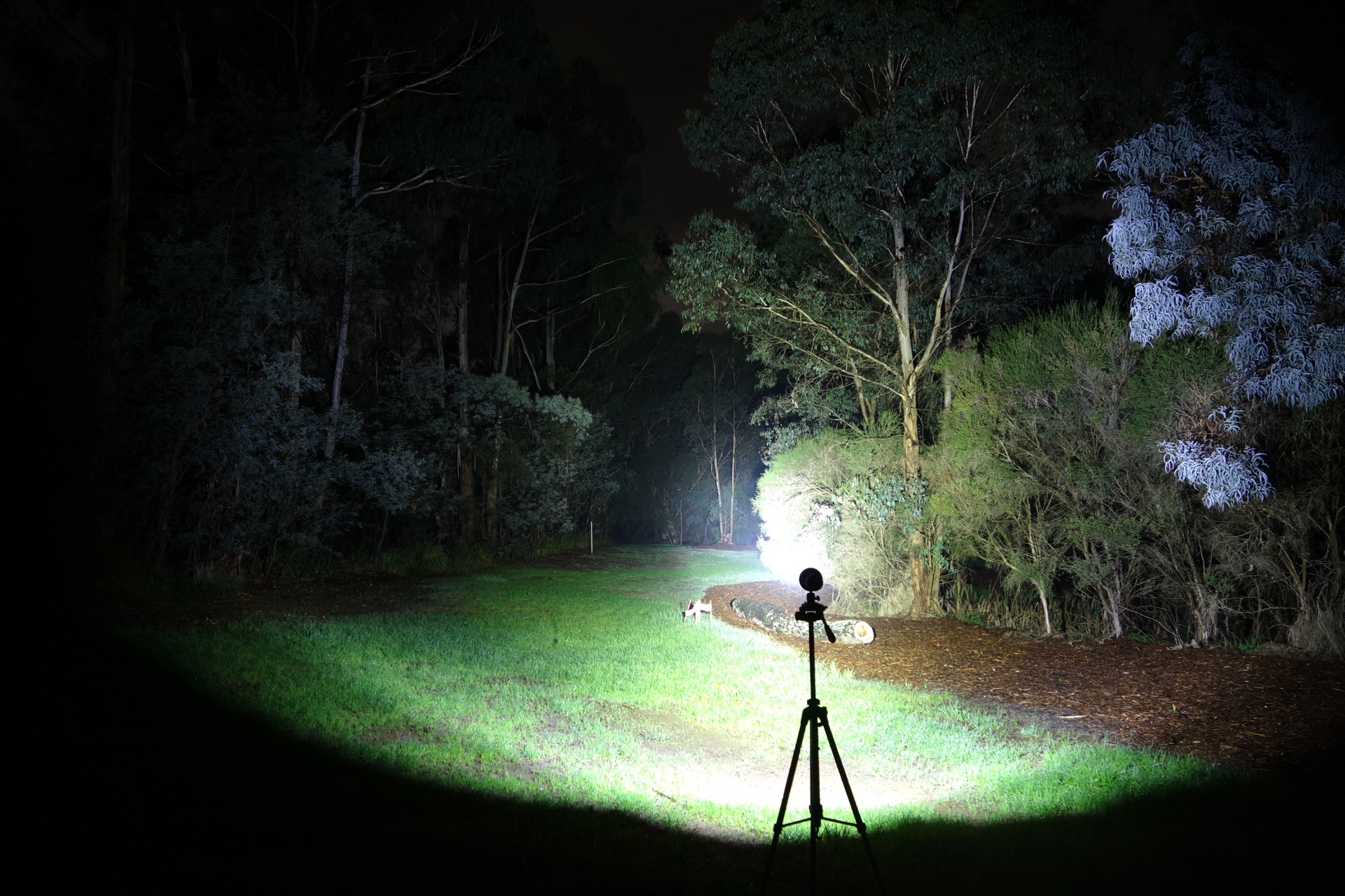 Fenix LR50R V2 Spotlight High beamshot