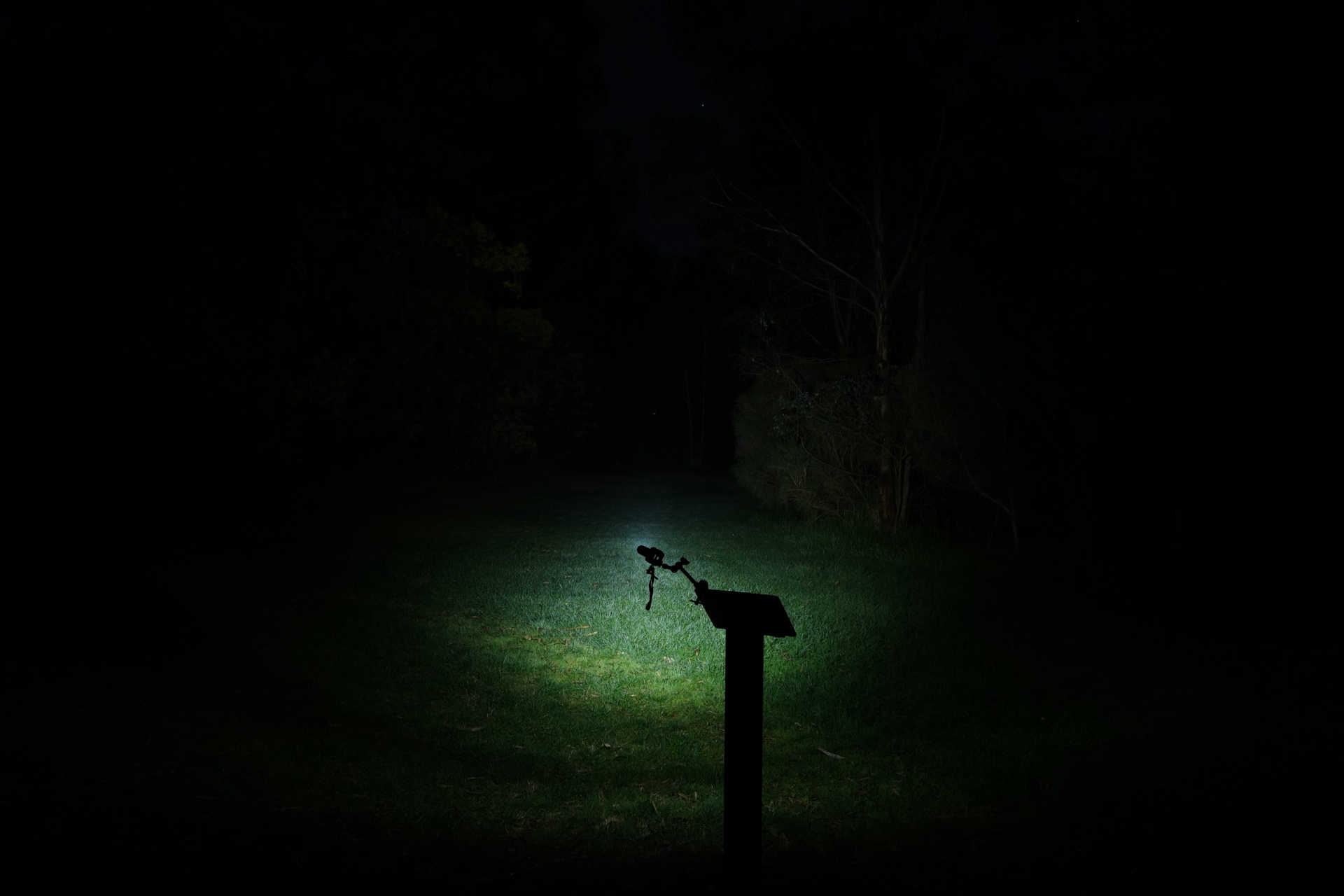 LOOP DOT Spotlight Turbo beamshot