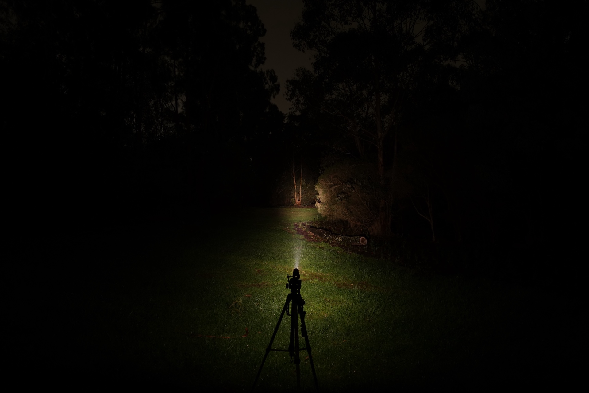 ReyLight Dawn Max Ti Stonewashed 100% beamshot