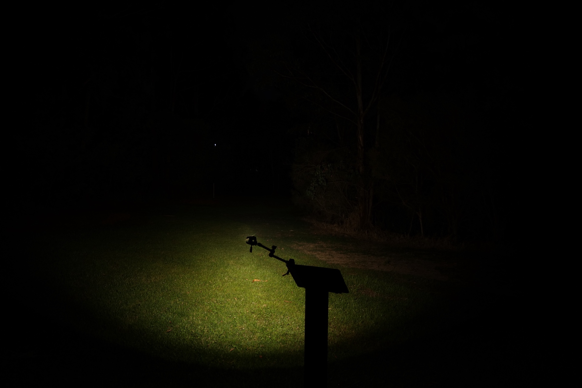 ReyLight Pineapple Mini 100% beamshot